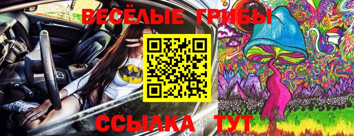 Братск  Псилоцибиновые грибы Cubensis  Псилоцибиновые грибы мицелий  Вход с VPN 